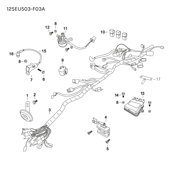 WIRING LOOM - MTN