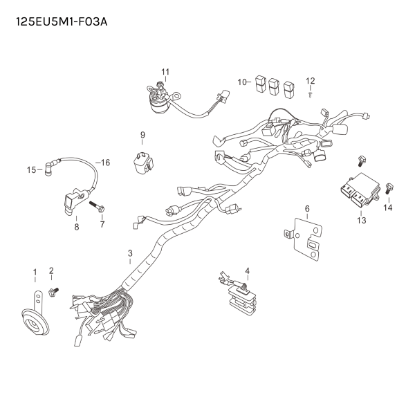 ECU - 125